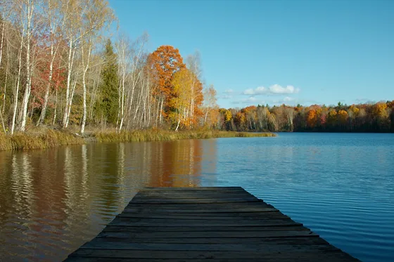 A wooden dock reaching into a calm blue lake on an autumn morning, birches and orange maples along the far shore